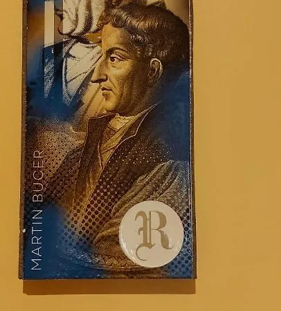 דירה Le Rhenanus Martin Bucer - Grand Au Calme - Centre - Parking Gratuit