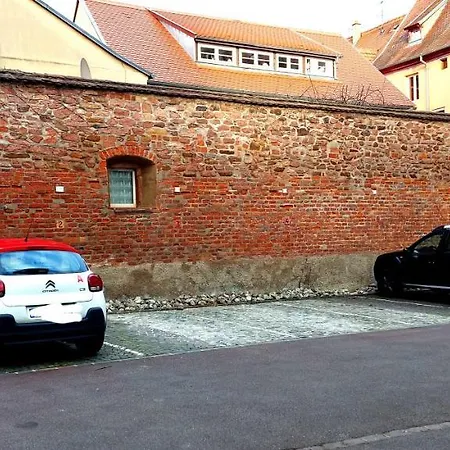 Le Rhenanus Martin Bucer - Grand Au Calme - Centre - Parking Gratuit Apartment