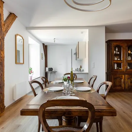 Le Rhenanus Martin Bucer - Grand Au Calme - Centre - Parking Gratuit זלסטאט