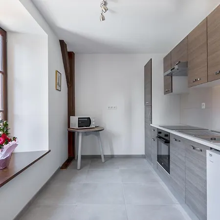 דירה Le Rhenanus Martin Bucer - Grand Au Calme - Centre - Parking Gratuit זלסטאט