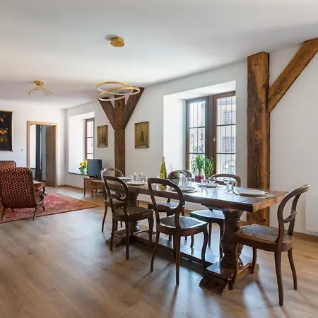 Le Rhenanus Martin Bucer - Grand Au Calme - Centre - Parking Gratuit Apartment Selestat