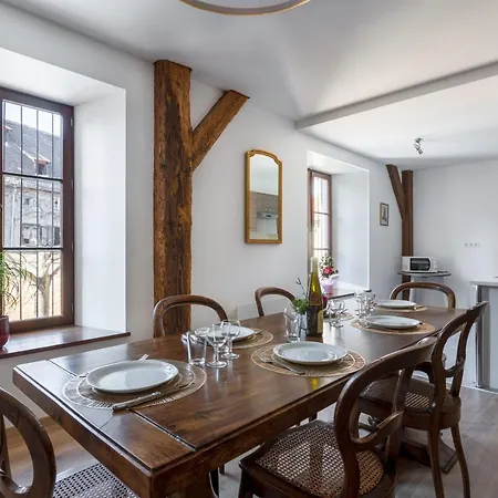 Le Rhenanus Martin Bucer - Grand Au Calme - Centre - Parking Gratuit * זלסטאט