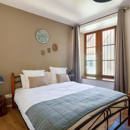 דירה Le Rhenanus Martin Bucer - Grand Au Calme - Centre - Parking Gratuit