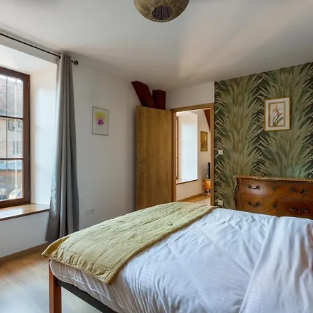 Apartment Le Rhenanus Martin Bucer - Grand Au Calme - Centre - Parking Gratuit *