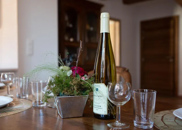 Martin Bucer Selestat - Parking Gratuit - Proche Europa-Park - Route Des Vins - Haut-Koenigsbourg *